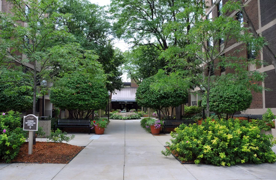Paved urban courtyard lined with lush green trees, shrubs, benches, and colorful potted flowers.